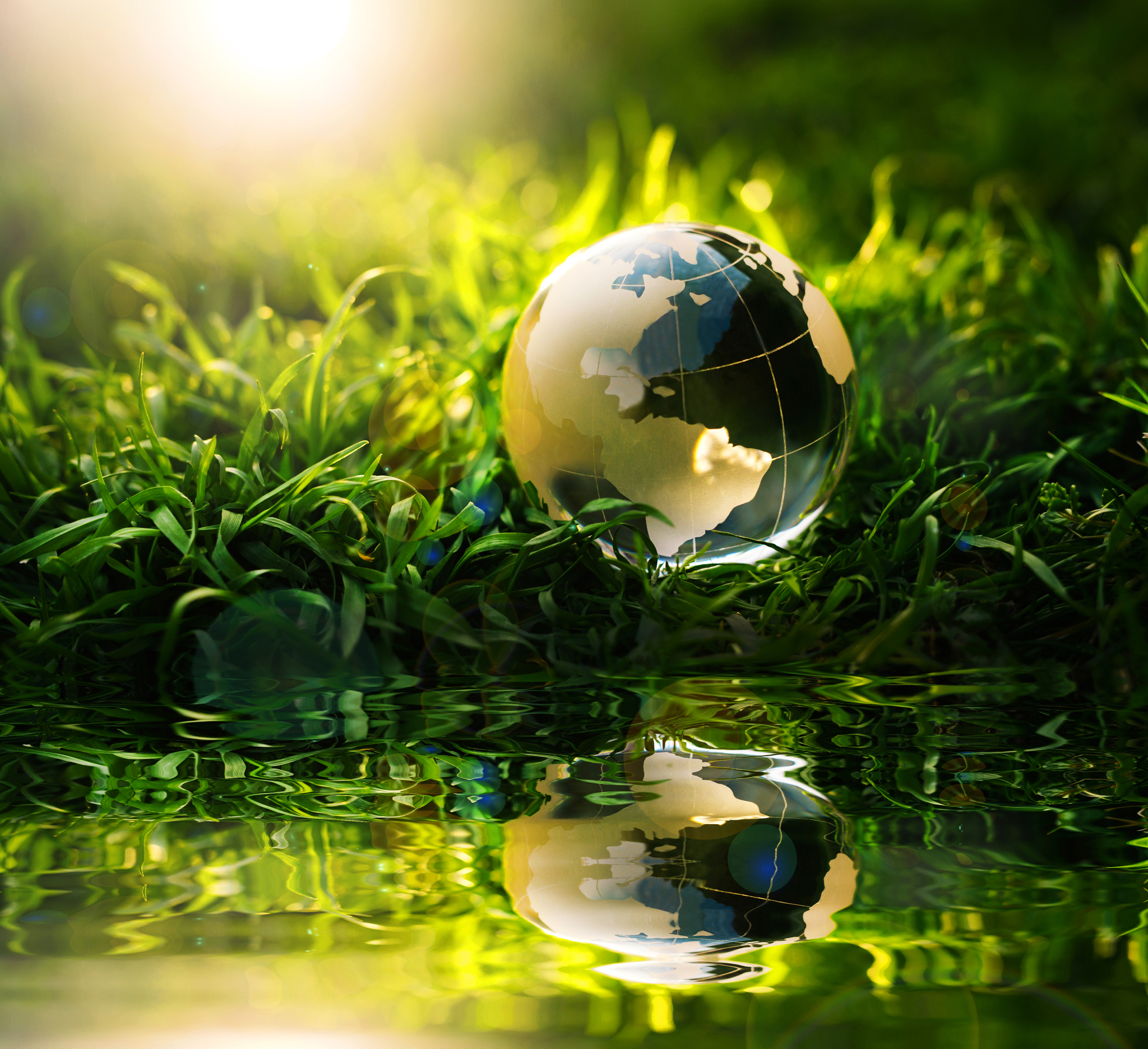 BGA Membership: a globe in grass and water
