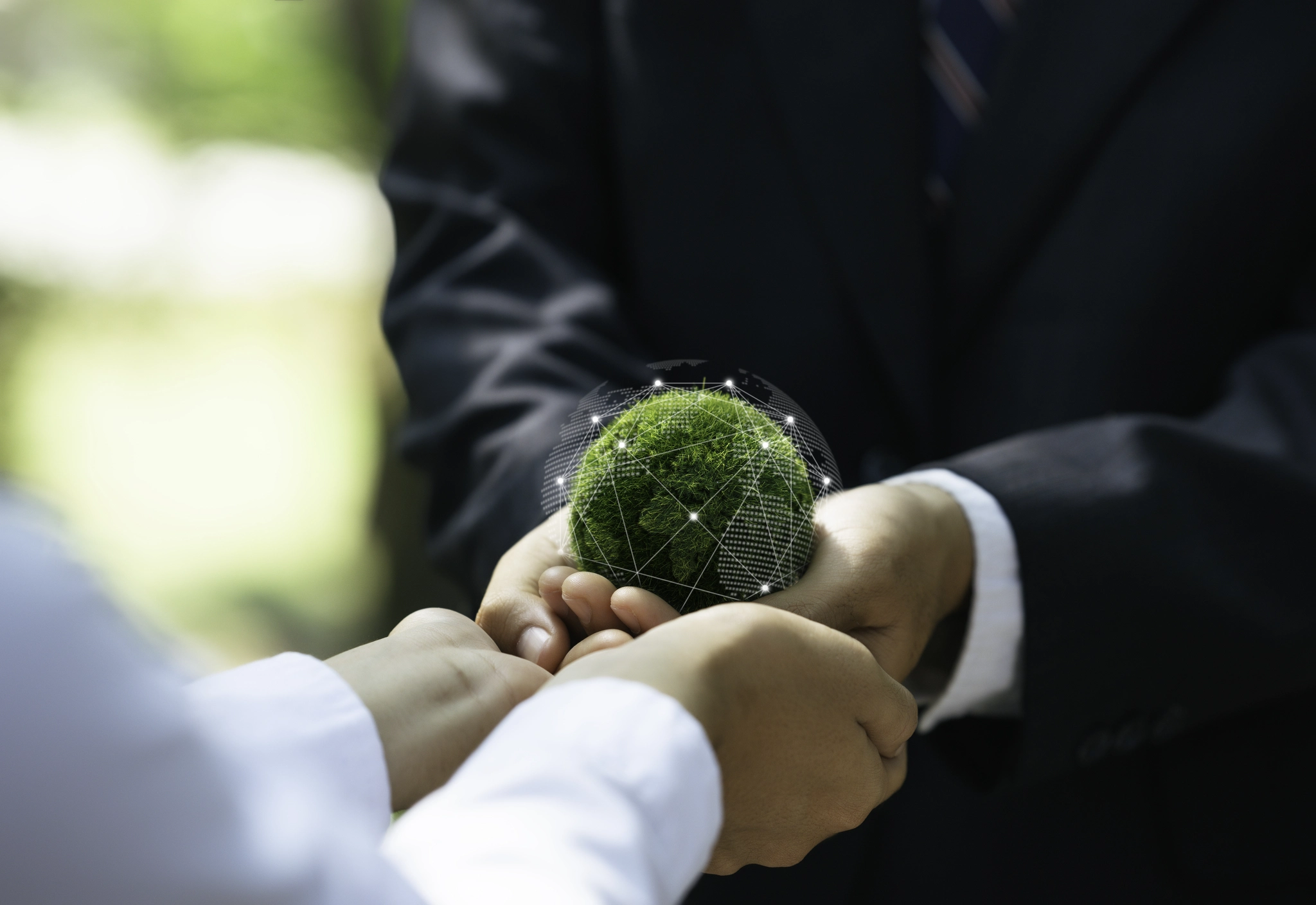 A businessman holding a small green plant in his hand, symbolising growth and sustainability.
