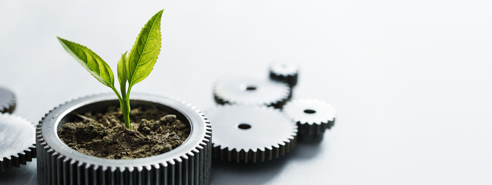  Plant growing in metal container surrounded by gears, symbolising growth and industry.