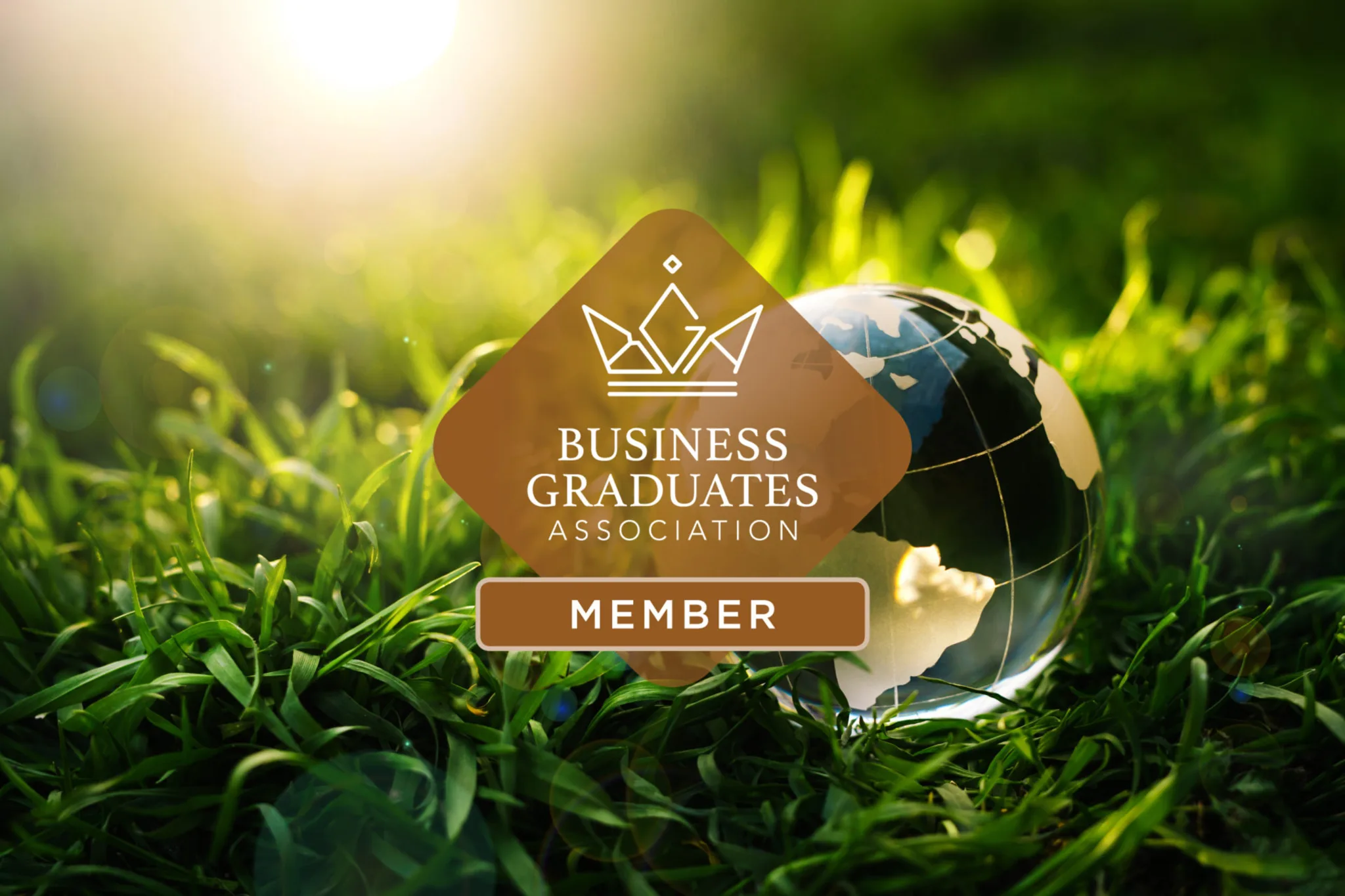 Discover BGA Membership