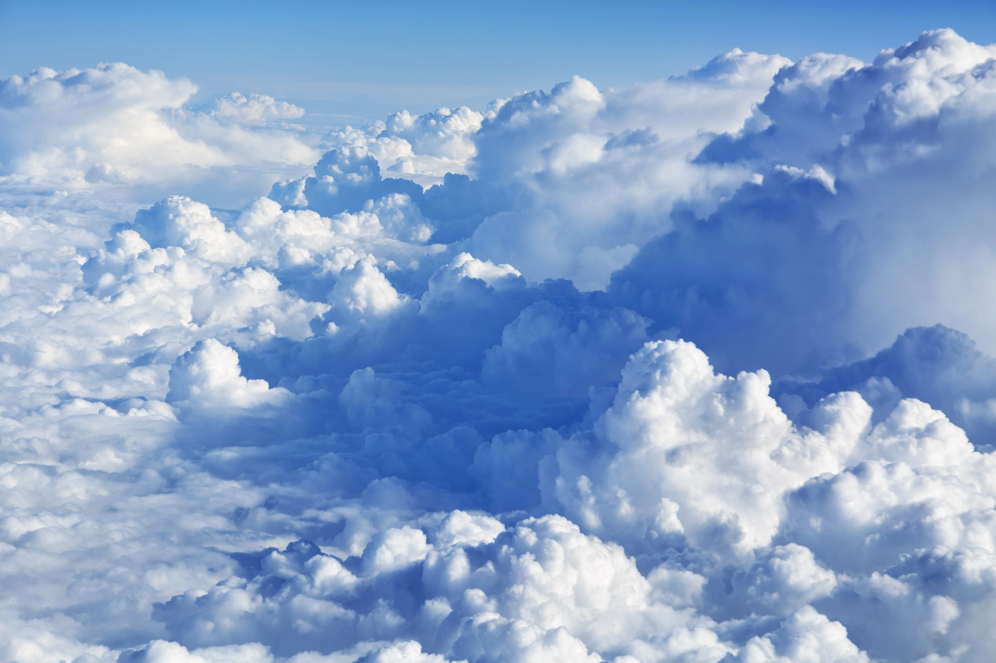 Commercial Opportunities 