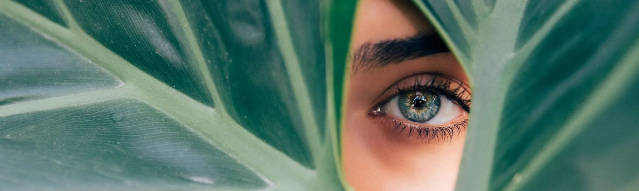 Drew Dizzy Graham Ctkgzjtmjqu Unsplash Cropped Qkkshk5gts11sfz9des3yi391vcdec04zvj1hyo048