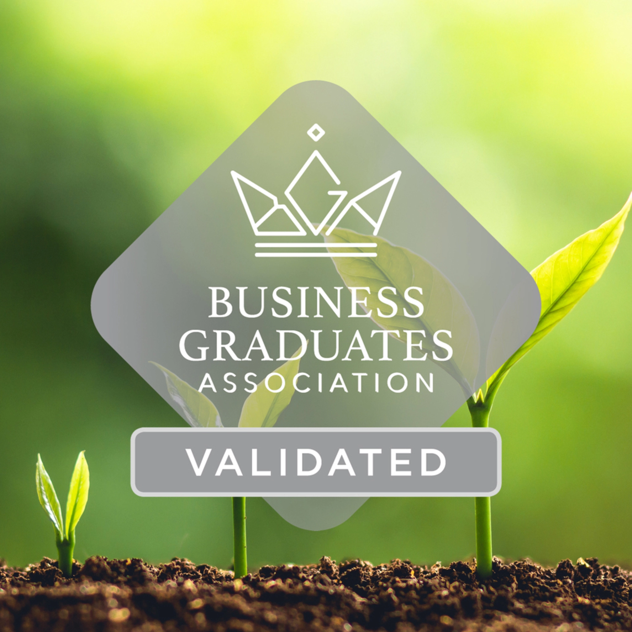 Validation Banner Square