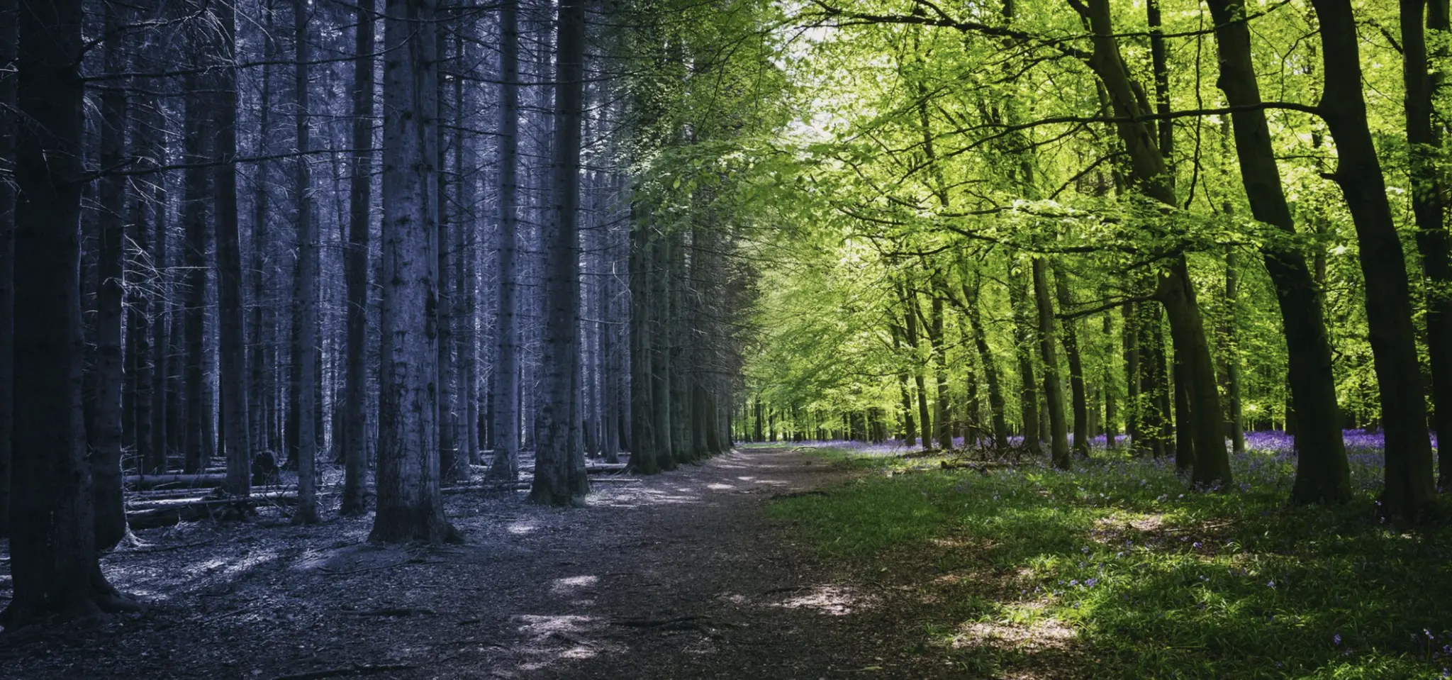 Why Old Business Paradigms No Longer Work