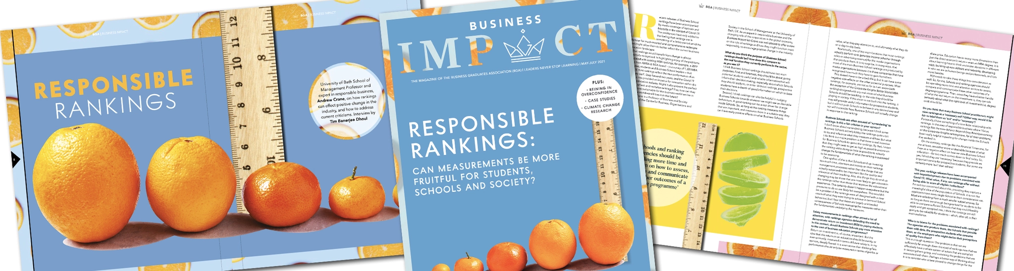 Website Insights BI8 Header