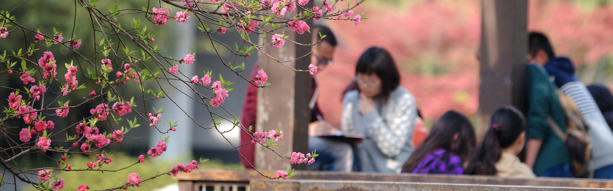 Students at College of Economics and Management, Nanjing Forestry University