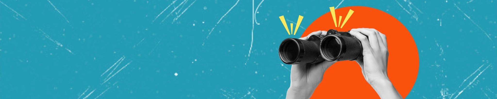 Search Discover Opportunity Career Startup