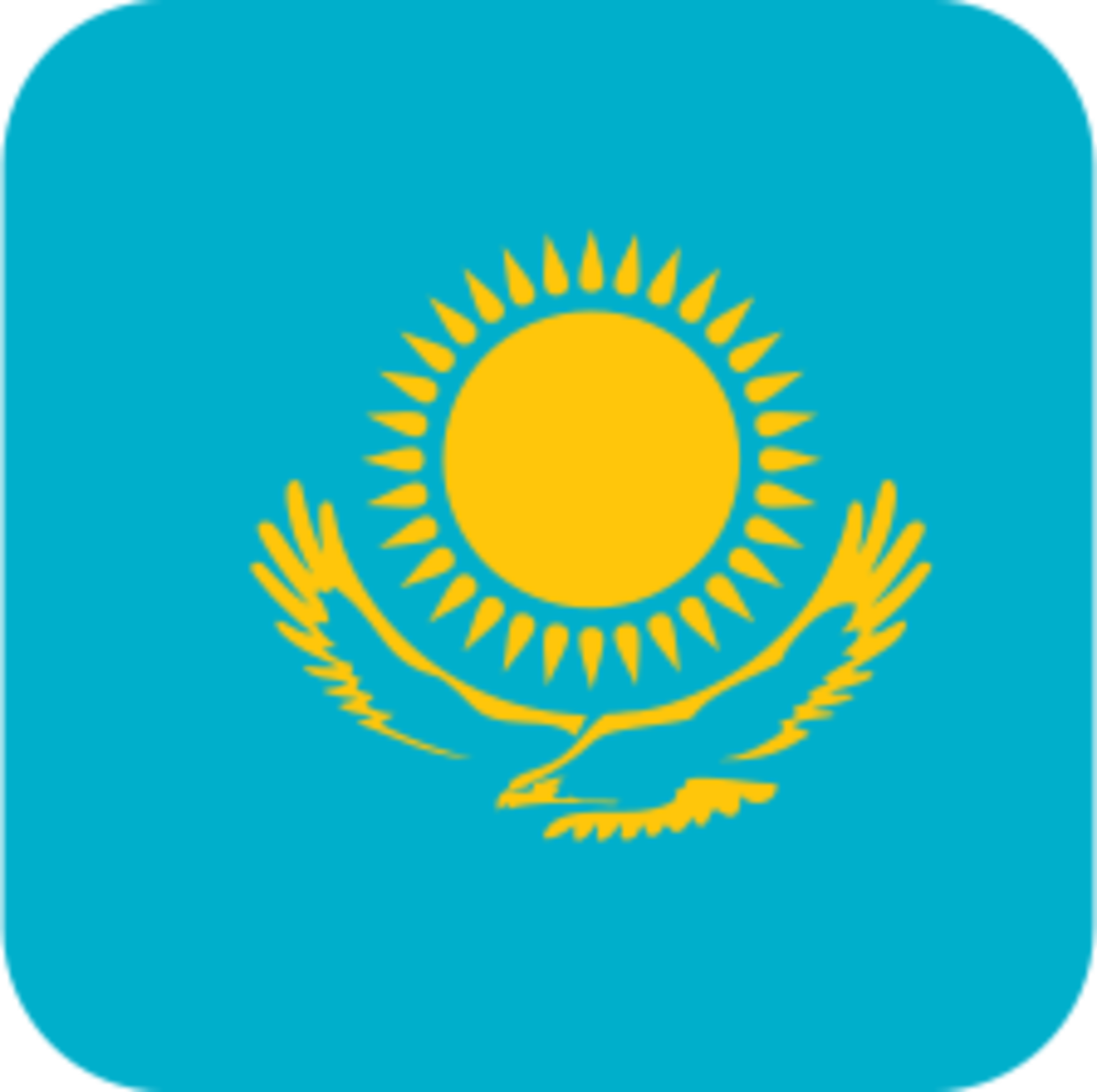 Flag Icon Kazakhstan