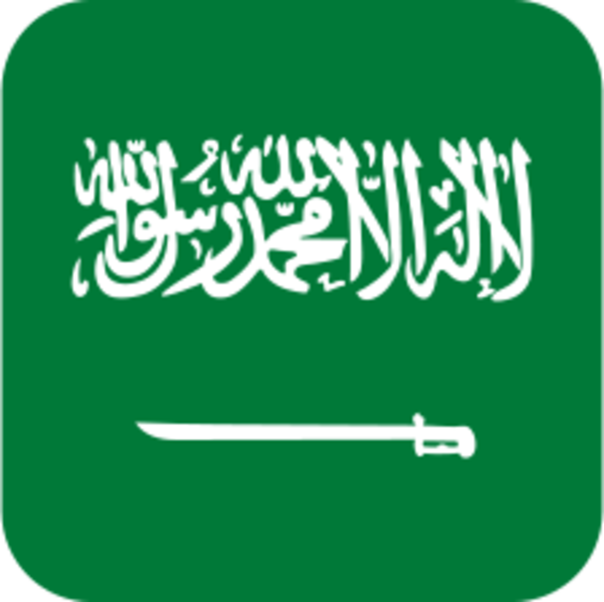 Flag Icon Saudi Arabia