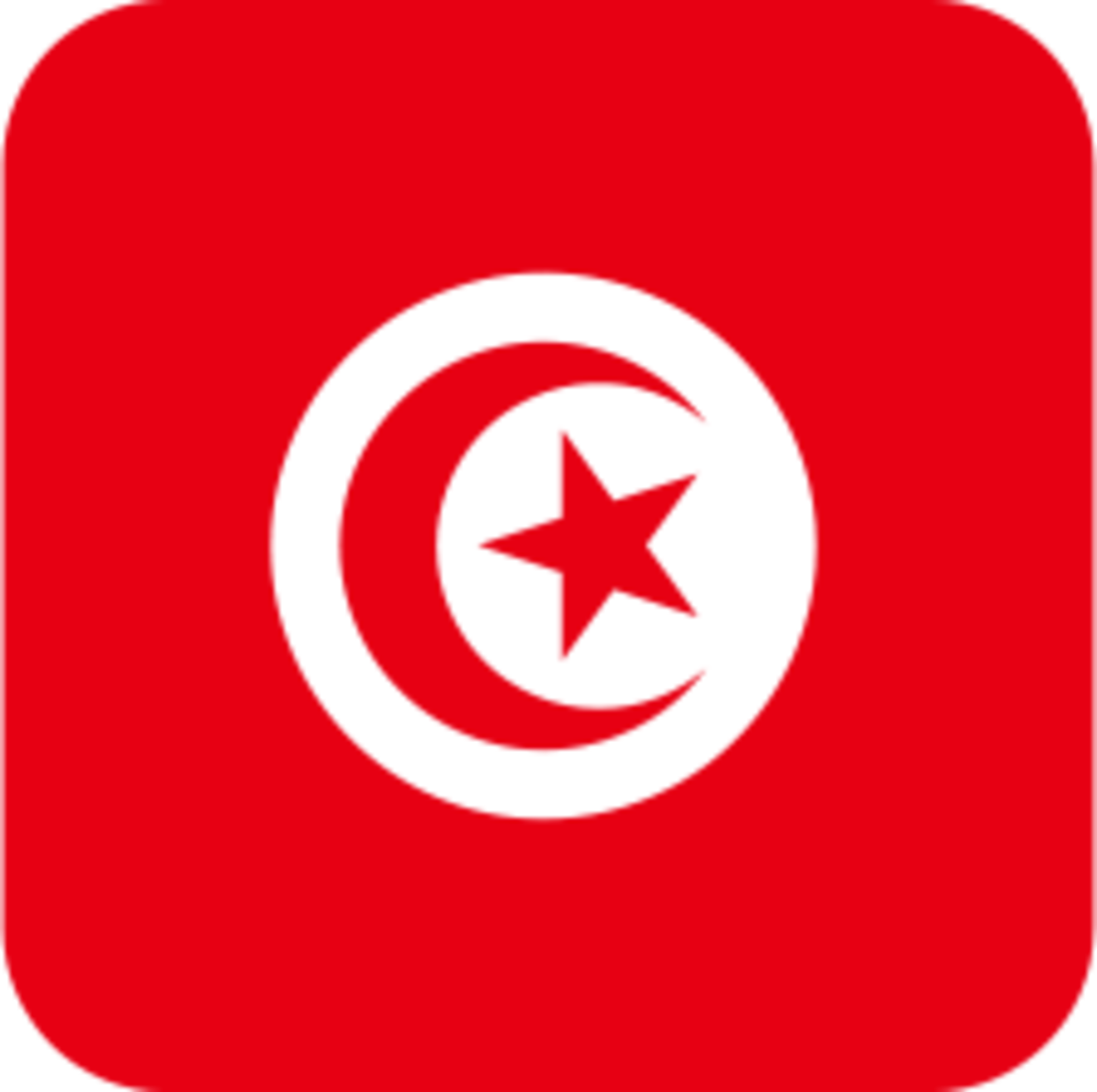 Flag Icon Tunisia