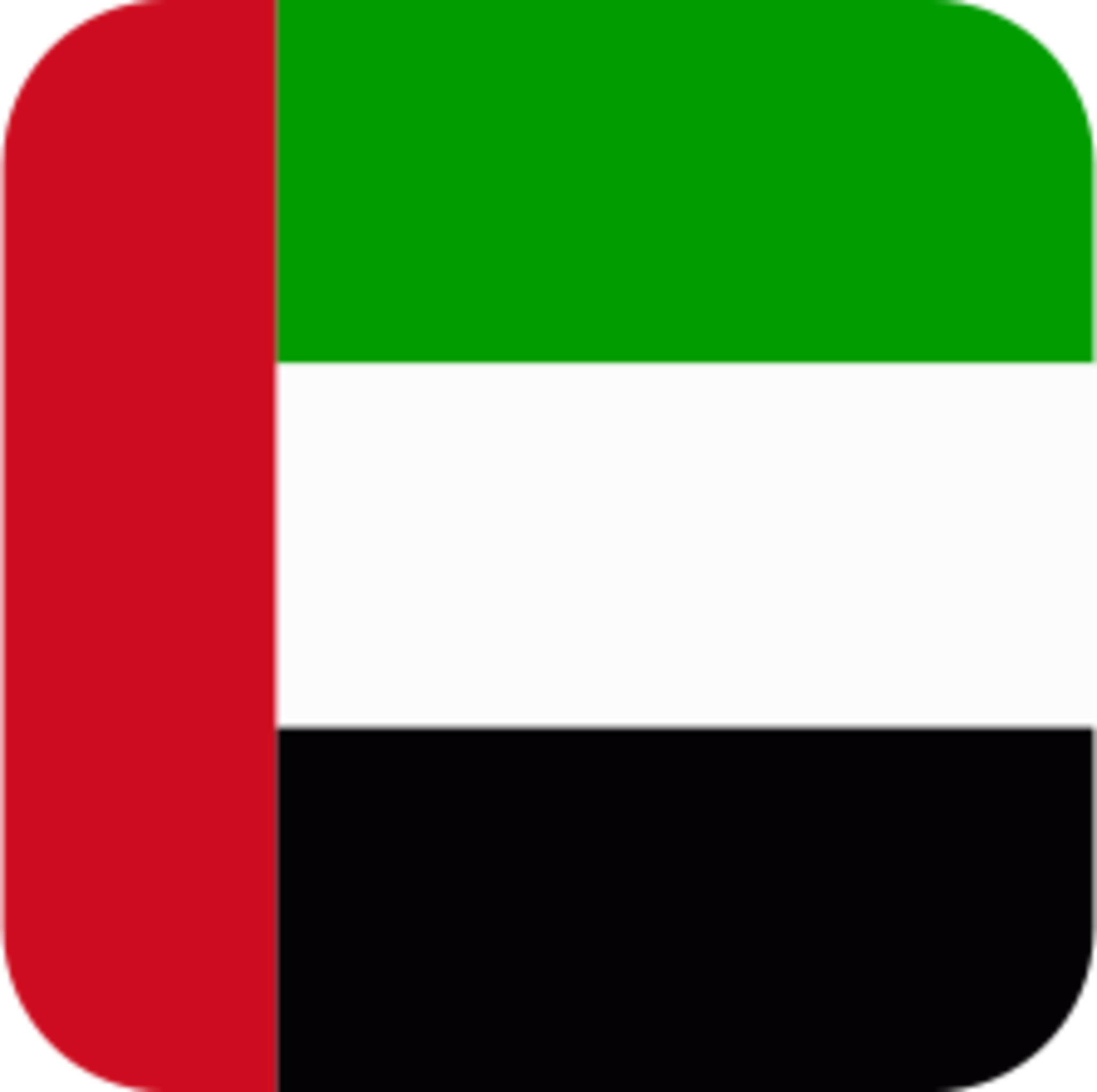 Flag Icon UAE