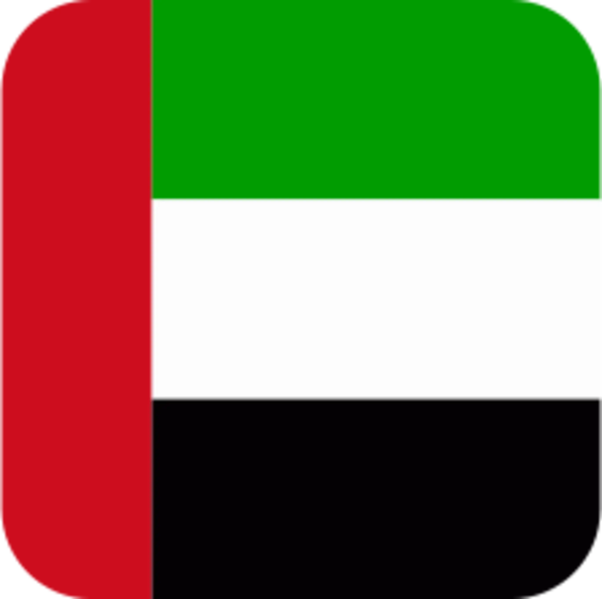 Flag Icon UAE