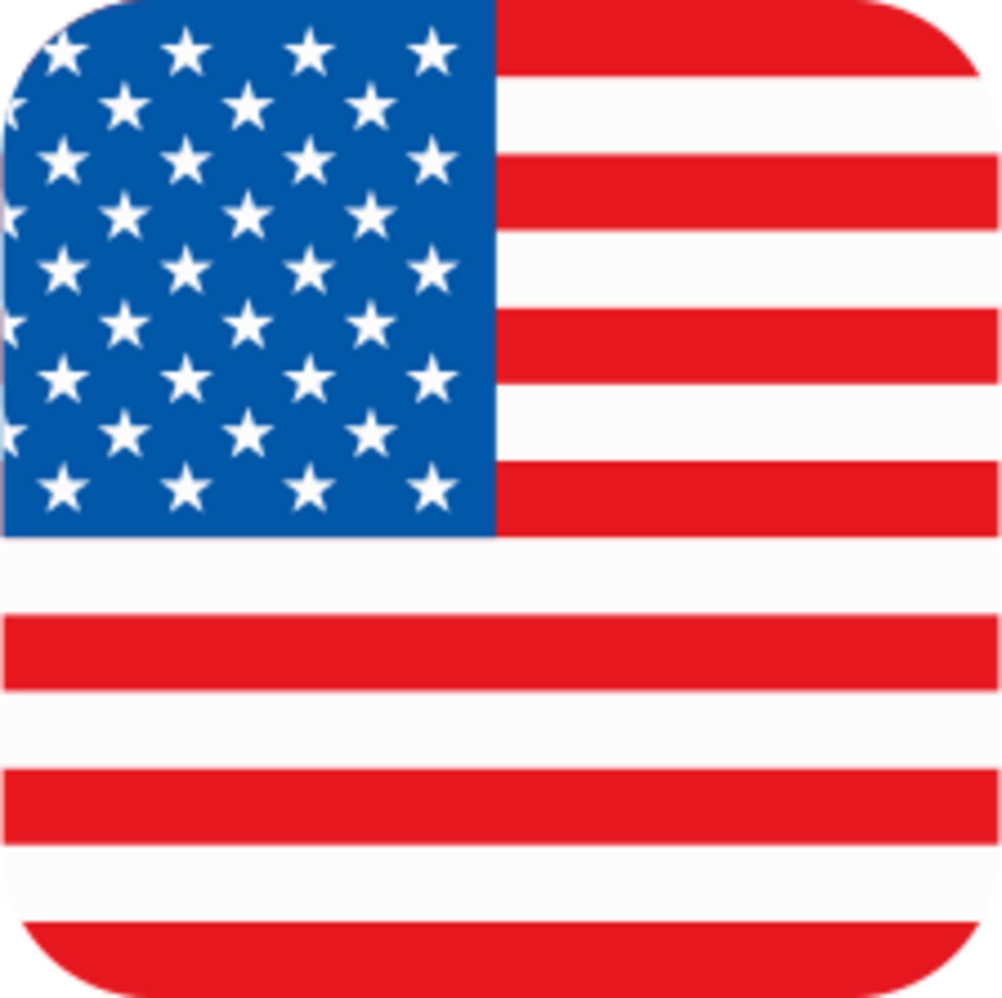 Flag Icon USA
