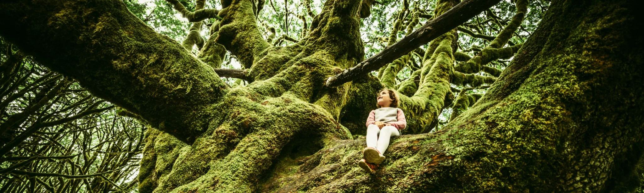 Growth Development Nurture Leadership Support