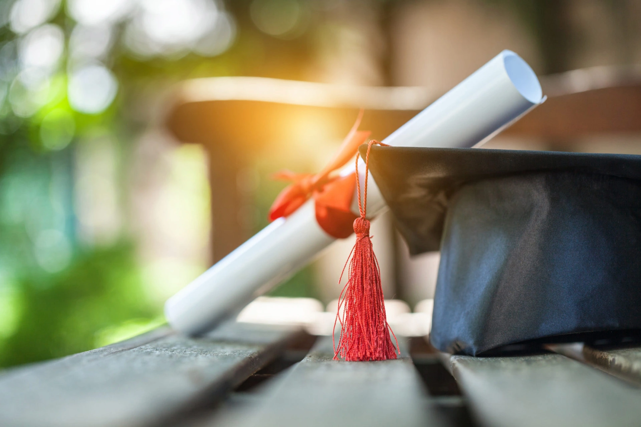A graduation cap and diploma on a bench