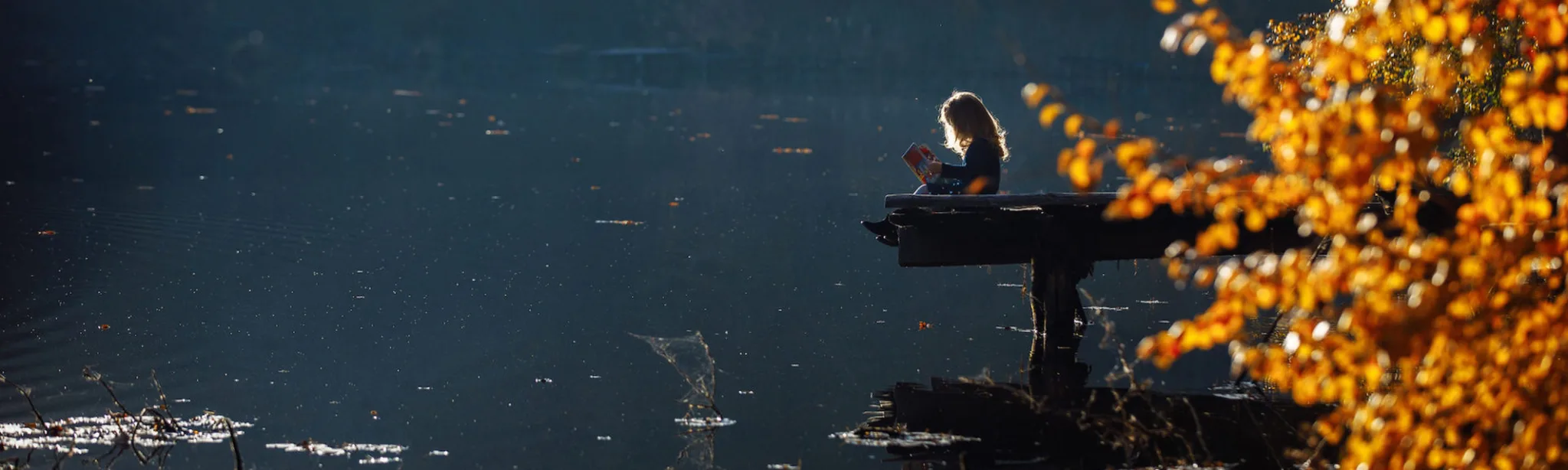 Reading Study Children Growth Mindset Development Dreams