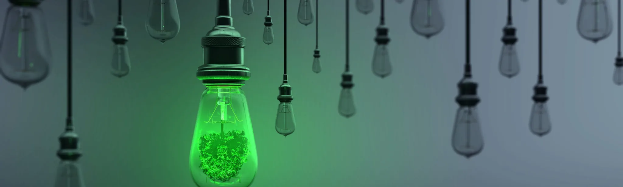 Green Innovation Investment Csr Responsbility