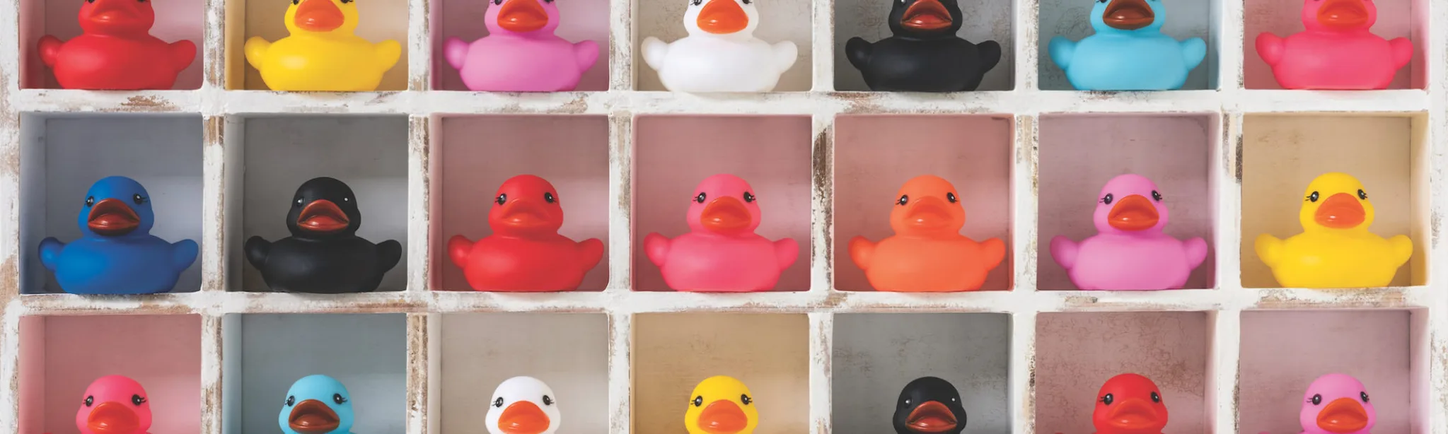 Colourful Rubber Ducks In Square Cubby Holes