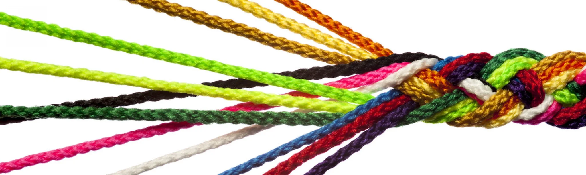 Interconnected Team Diversity