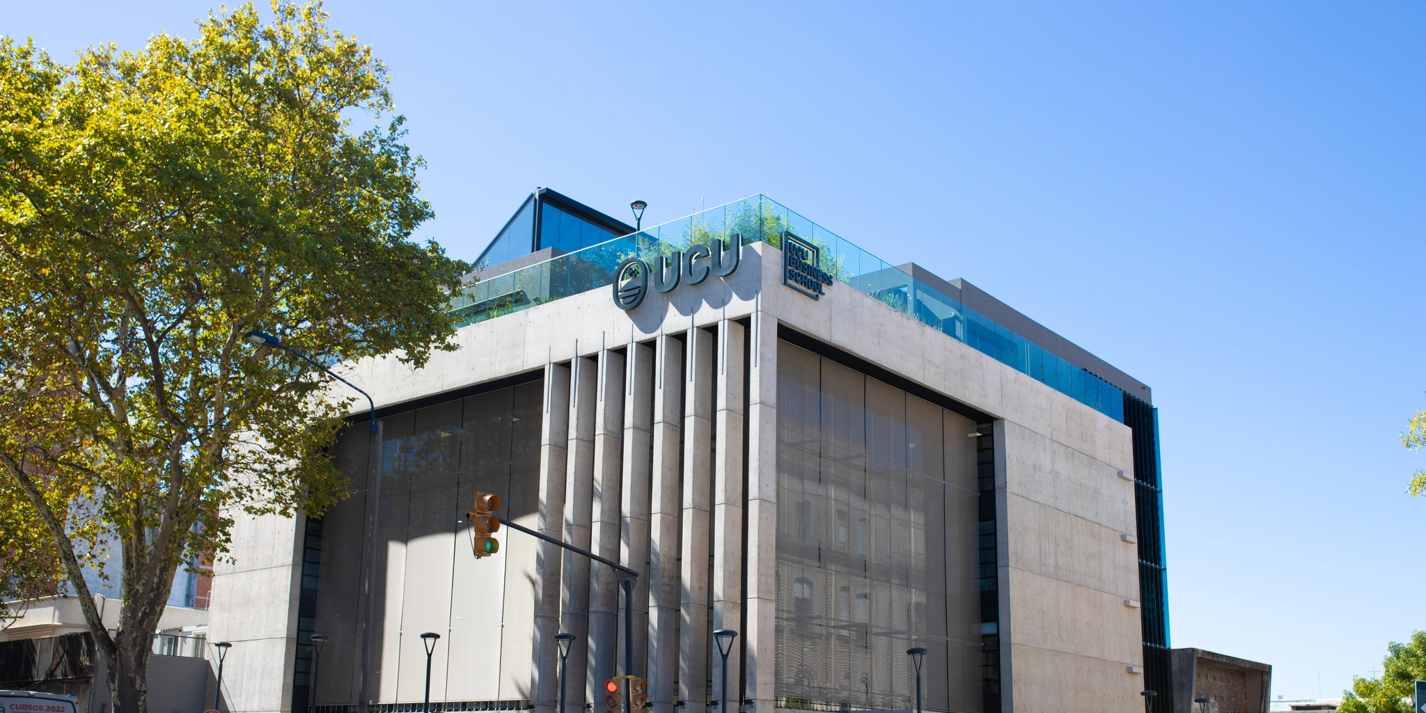 glass building with tree